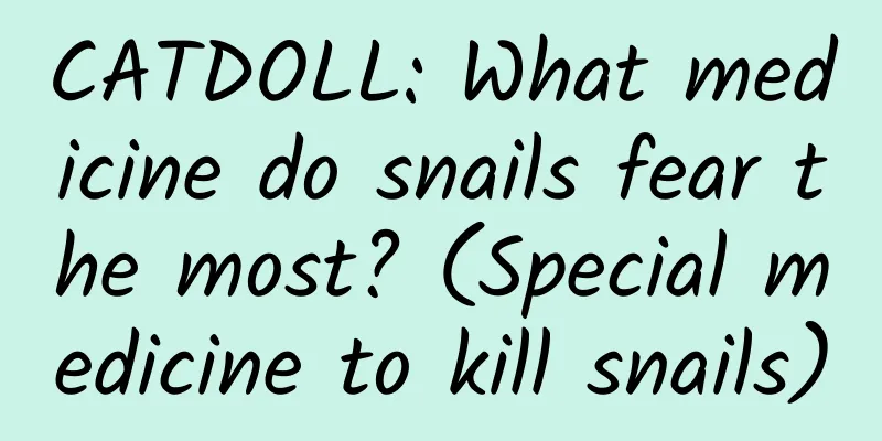 CATDOLL: What medicine do snails fear the most? (Special medicine to kill snails)