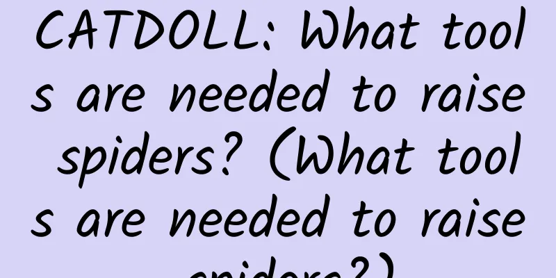 CATDOLL: What tools are needed to raise spiders? (What tools are needed to raise spiders?)