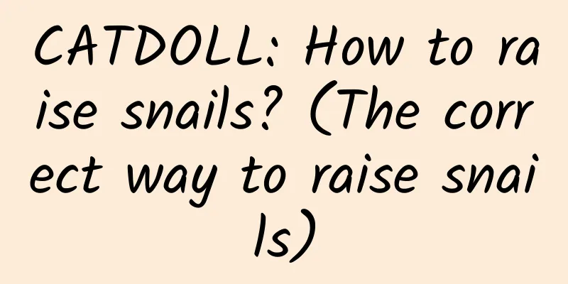 CATDOLL: How to raise snails? (The correct way to raise snails)
