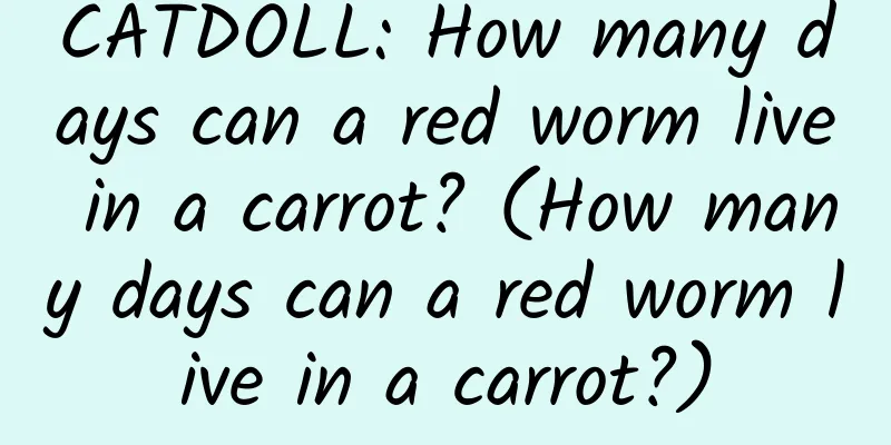 CATDOLL: How many days can a red worm live in a carrot? (How many days can a red worm live in a carrot?)
