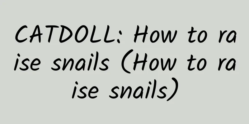 CATDOLL: How to raise snails (How to raise snails)