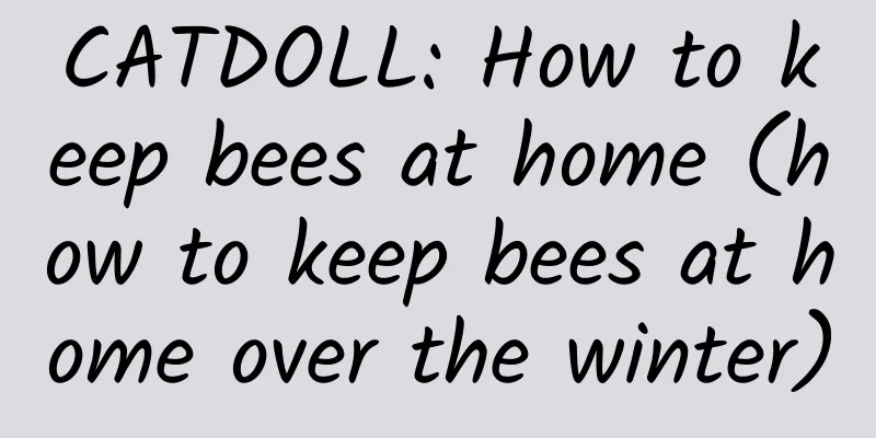 CATDOLL: How to keep bees at home (how to keep bees at home over the winter)