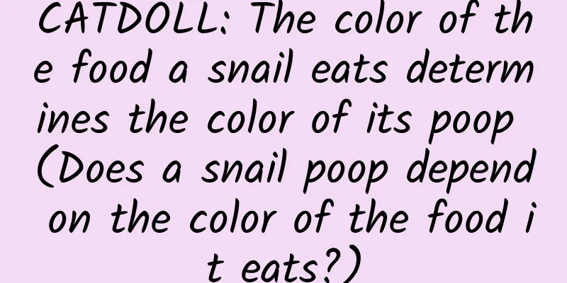 CATDOLL: The color of the food a snail eats determines the color of its poop (Does a snail poop depend on the color of the food it eats?)