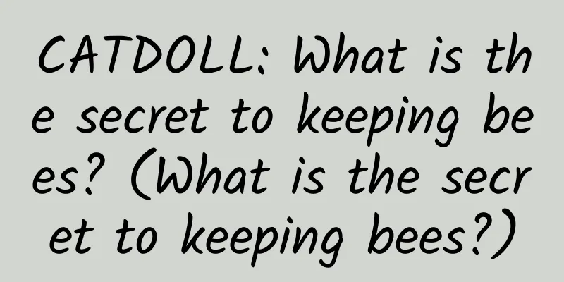 CATDOLL: What is the secret to keeping bees? (What is the secret to keeping bees?)