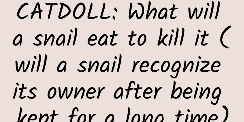 CATDOLL: What will a snail eat to kill it (will a snail recognize its owner after being kept for a long time)