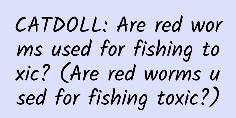 CATDOLL: Are red worms used for fishing toxic? (Are red worms used for fishing toxic?)