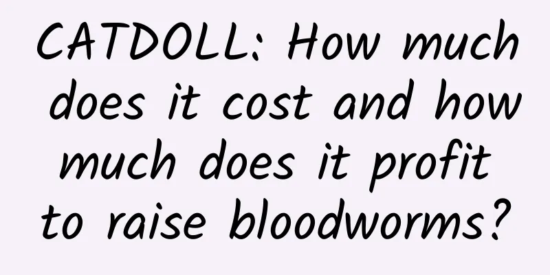 CATDOLL: How much does it cost and how much does it profit to raise bloodworms?