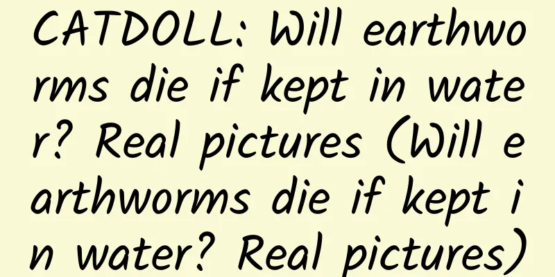 CATDOLL: Will earthworms die if kept in water? Real pictures (Will earthworms die if kept in water? Real pictures)