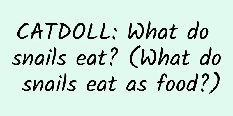 CATDOLL: What do snails eat? (What do snails eat as food?)