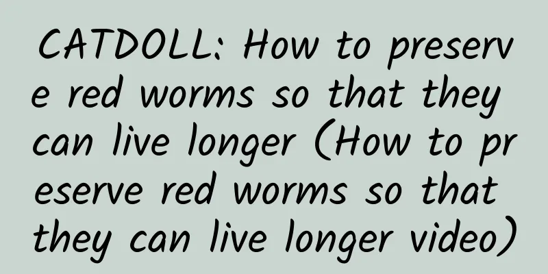 CATDOLL: How to preserve red worms so that they can live longer (How to preserve red worms so that they can live longer video)