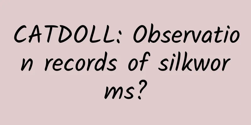CATDOLL: Observation records of silkworms?