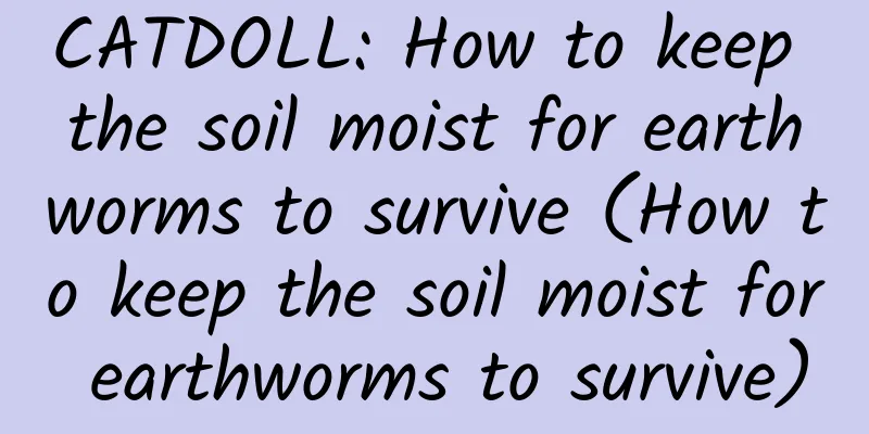 CATDOLL: How to keep the soil moist for earthworms to survive (How to keep the soil moist for earthworms to survive)