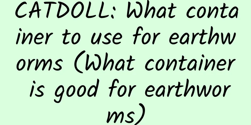 CATDOLL: What container to use for earthworms (What container is good for earthworms)