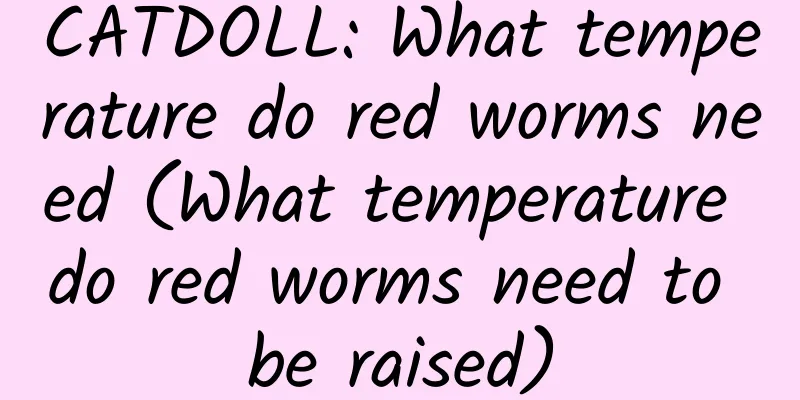 CATDOLL: What temperature do red worms need (What temperature do red worms need to be raised)