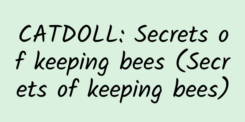CATDOLL: Secrets of keeping bees (Secrets of keeping bees)