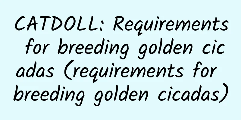CATDOLL: Requirements for breeding golden cicadas (requirements for breeding golden cicadas)