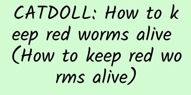 CATDOLL: How to keep red worms alive (How to keep red worms alive)