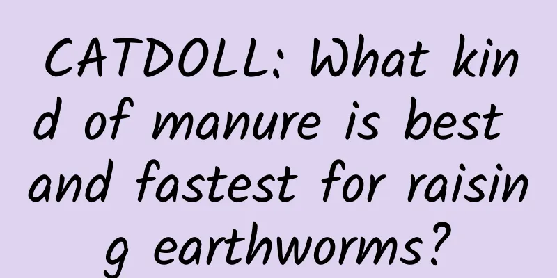 CATDOLL: What kind of manure is best and fastest for raising earthworms?