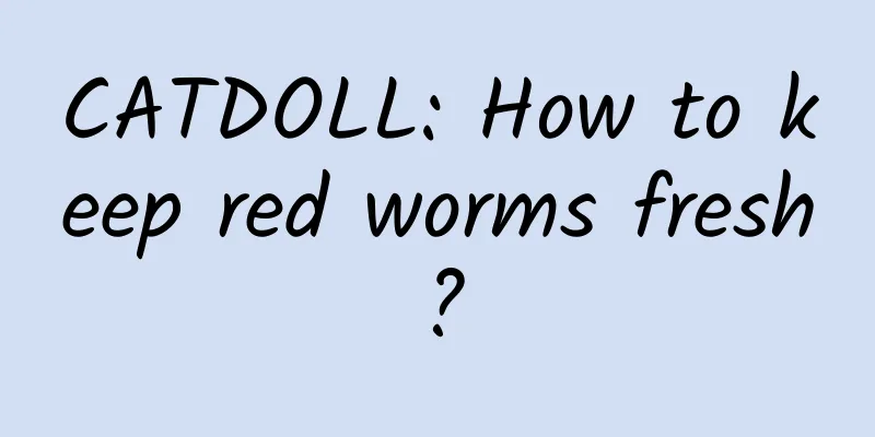 CATDOLL: How to keep red worms fresh?