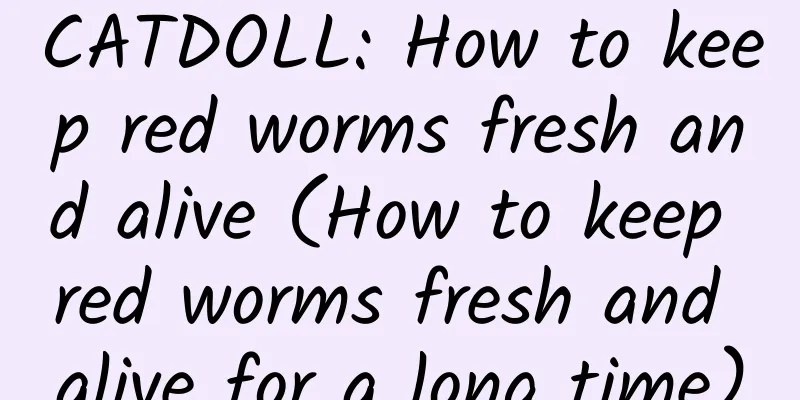 CATDOLL: How to keep red worms fresh and alive (How to keep red worms fresh and alive for a long time)