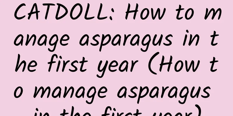 CATDOLL: How to manage asparagus in the first year (How to manage asparagus in the first year)
