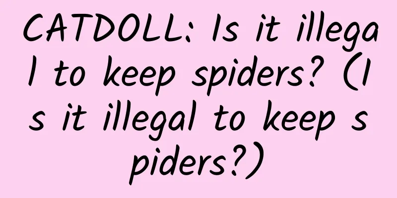 CATDOLL: Is it illegal to keep spiders? (Is it illegal to keep spiders?)