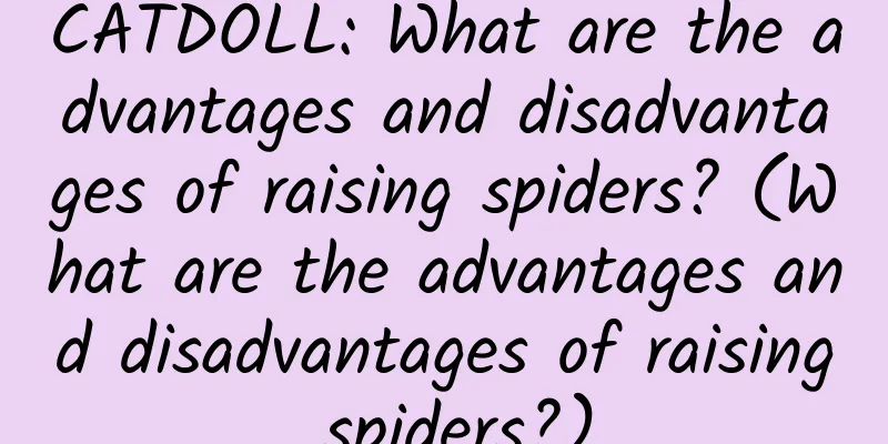 CATDOLL: What are the advantages and disadvantages of raising spiders? (What are the advantages and disadvantages of raising spiders?)