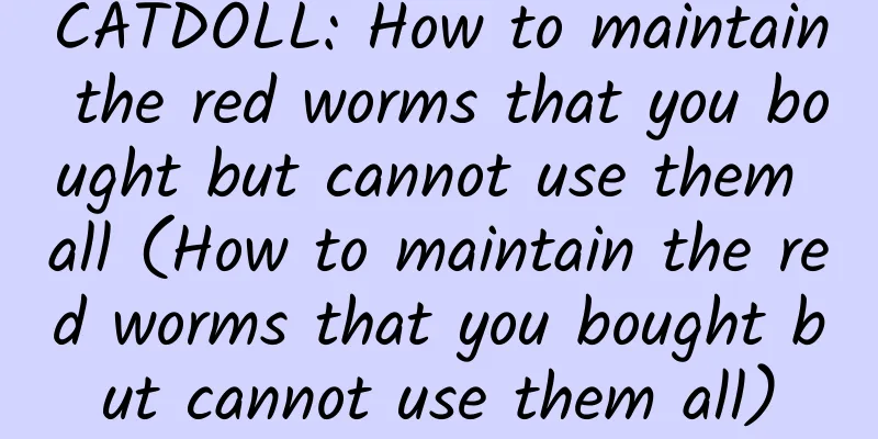CATDOLL: How to maintain the red worms that you bought but cannot use them all (How to maintain the red worms that you bought but cannot use them all)