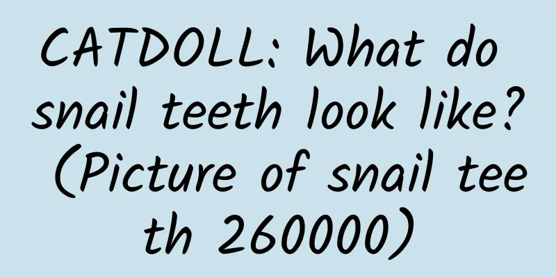 CATDOLL: What do snail teeth look like? (Picture of snail teeth 260000)
