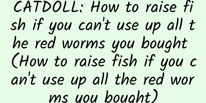 CATDOLL: How to raise fish if you can't use up all the red worms you bought (How to raise fish if you can't use up all the red worms you bought)