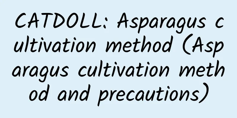 CATDOLL: Asparagus cultivation method (Asparagus cultivation method and precautions)