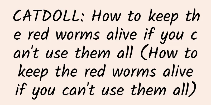 CATDOLL: How to keep the red worms alive if you can't use them all (How to keep the red worms alive if you can't use them all)