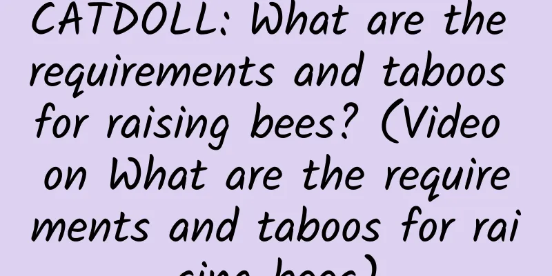 CATDOLL: What are the requirements and taboos for raising bees? (Video on What are the requirements and taboos for raising bees)