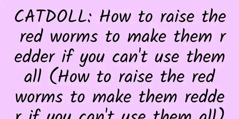 CATDOLL: How to raise the red worms to make them redder if you can't use them all (How to raise the red worms to make them redder if you can't use them all)