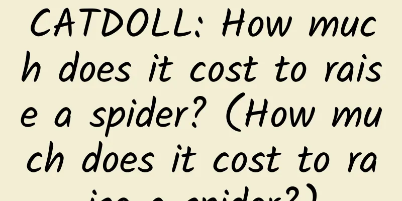 CATDOLL: How much does it cost to raise a spider? (How much does it cost to raise a spider?)