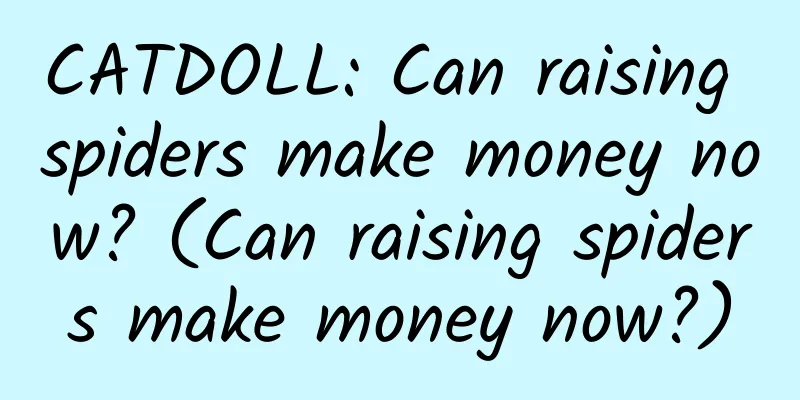 CATDOLL: Can raising spiders make money now? (Can raising spiders make money now?)