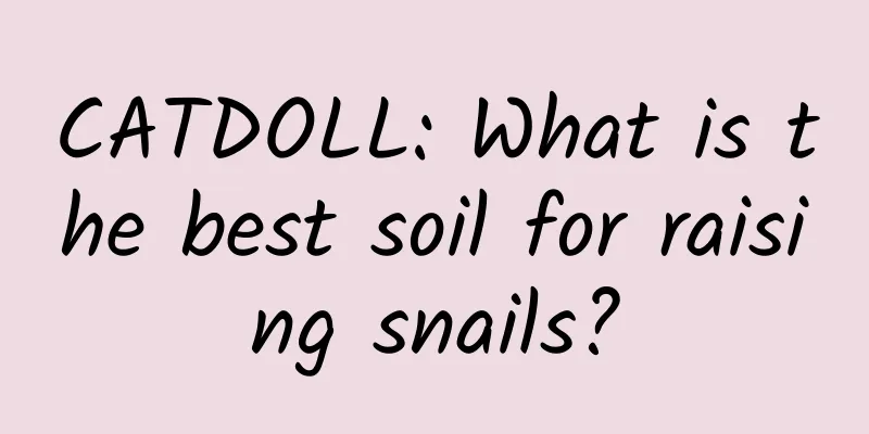 CATDOLL: What is the best soil for raising snails?