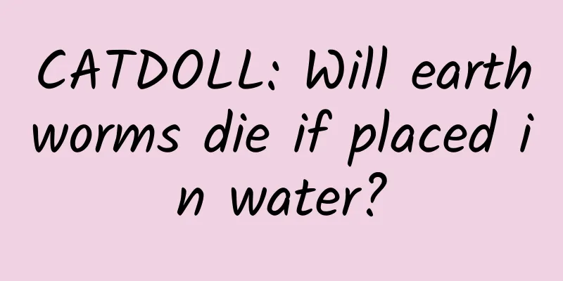 CATDOLL: Will earthworms die if placed in water?