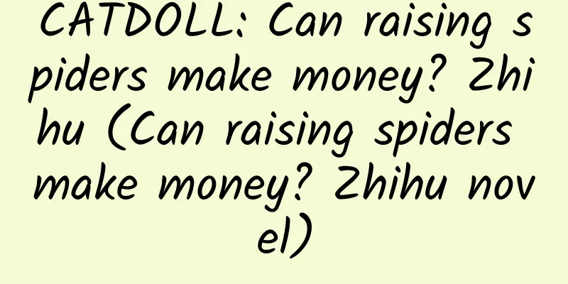 CATDOLL: Can raising spiders make money? Zhihu (Can raising spiders make money? Zhihu novel)