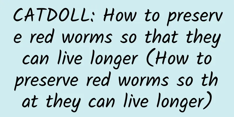 CATDOLL: How to preserve red worms so that they can live longer (How to preserve red worms so that they can live longer)