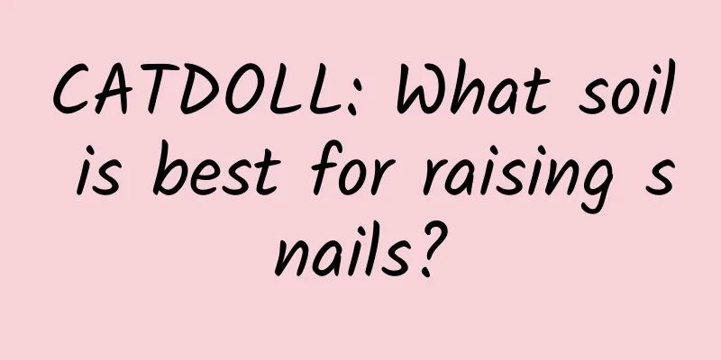 CATDOLL: What soil is best for raising snails?