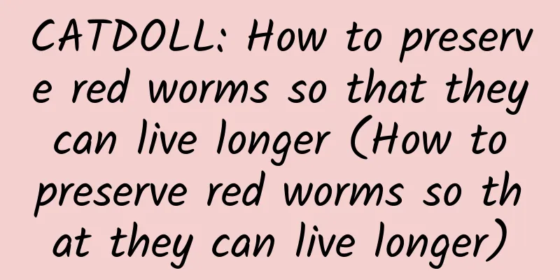 CATDOLL: How to preserve red worms so that they can live longer (How to preserve red worms so that they can live longer)