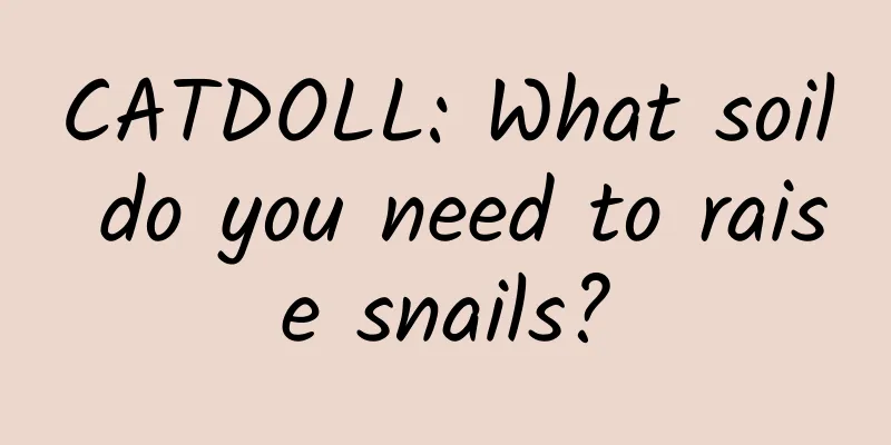 CATDOLL: What soil do you need to raise snails?