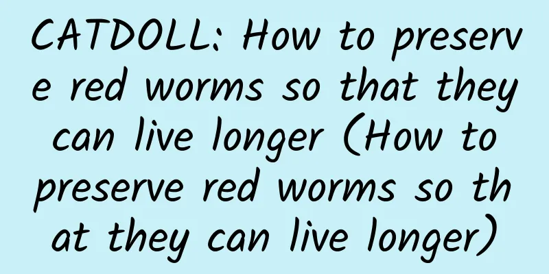 CATDOLL: How to preserve red worms so that they can live longer (How to preserve red worms so that they can live longer)