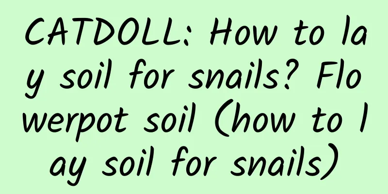 CATDOLL: How to lay soil for snails? Flowerpot soil (how to lay soil for snails)