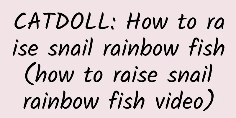 CATDOLL: How to raise snail rainbow fish (how to raise snail rainbow fish video)
