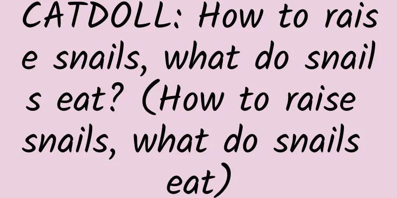 CATDOLL: How to raise snails, what do snails eat? (How to raise snails, what do snails eat)