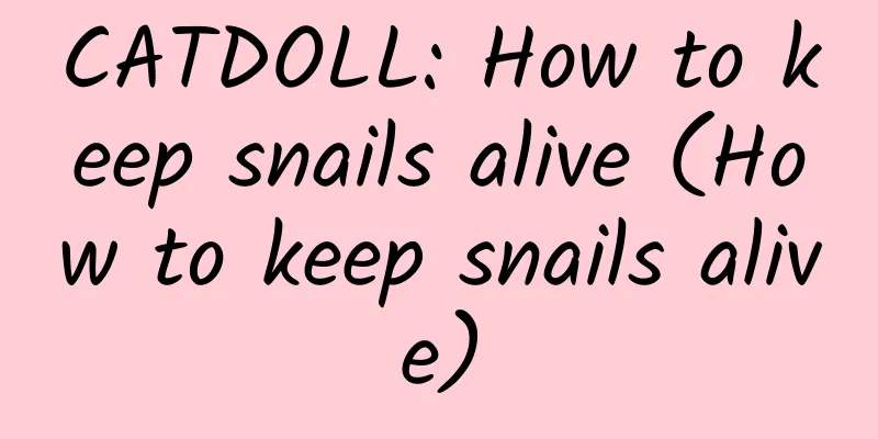 CATDOLL: How to keep snails alive (How to keep snails alive)