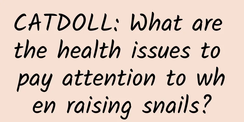 CATDOLL: What are the health issues to pay attention to when raising snails?