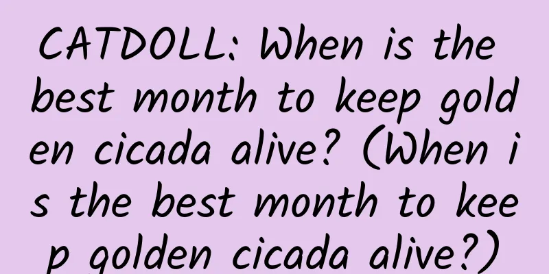 CATDOLL: When is the best month to keep golden cicada alive? (When is the best month to keep golden cicada alive?)